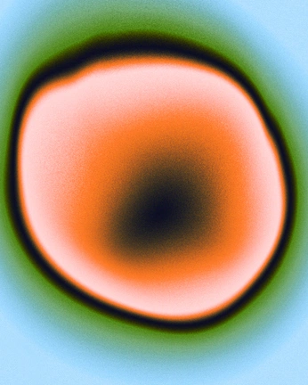 A cover of "Amoeba" cluster. The owner is asoftgaze. The cluster consists of 13 elements.