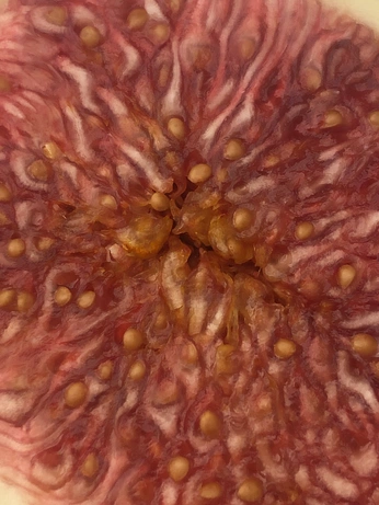 A cover of "Verano" cluster. The owner is isabl. The cluster consists of 4 elements.