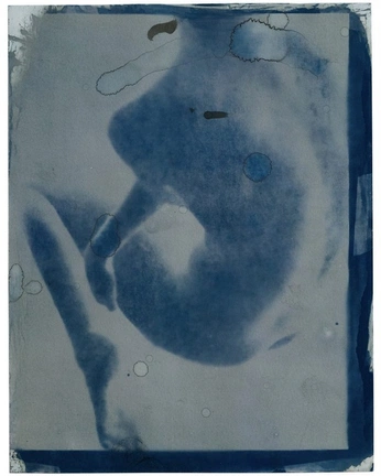 A cover of "Vis313" cluster. The owner is doresarv. The cluster consists of 2 elements.