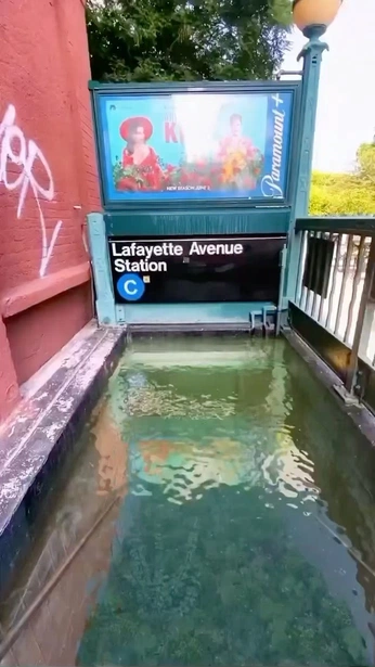 A cover of "set design" cluster. The owner is bxben. The cluster consists of 19 elements.