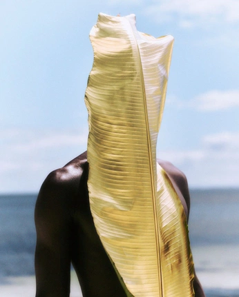 A cover of "clorotyipia" cluster. The owner is mapussy. The cluster consists of 2 elements.