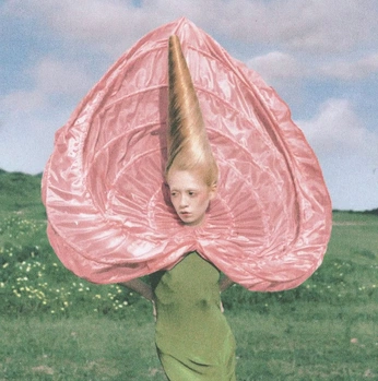 A cover of "snap shoot, 나를" cluster. The owner is inthemood4luv. The cluster consists of 1 element.