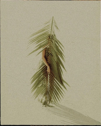 A cover of "Nature" cluster. The owner is manuo. The cluster consists of 6 elements.