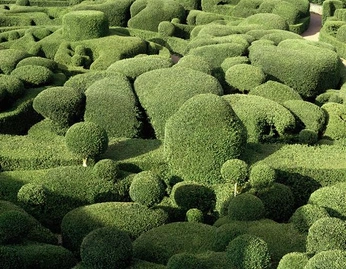 A cover of "Peace + Solitude" cluster. The owner is aammiii. The cluster consists of 22 elements.