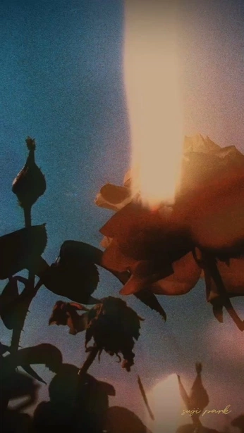 A cover of "Donttell" cluster. The owner is blueiceyy. The cluster consists of 2 elements.