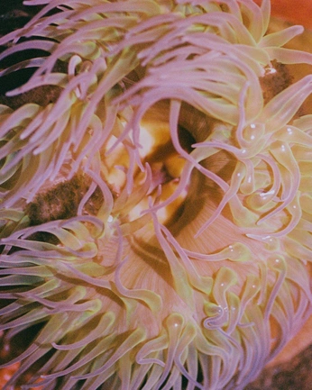 A cover of "textures" cluster. The owner is leyra. The cluster consists of 393 elements.