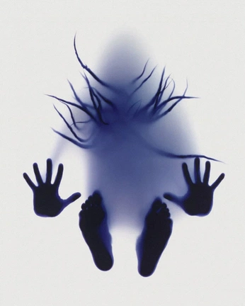 A cover of "Poses" cluster. The owner is isa.coca. The cluster consists of 7 elements.