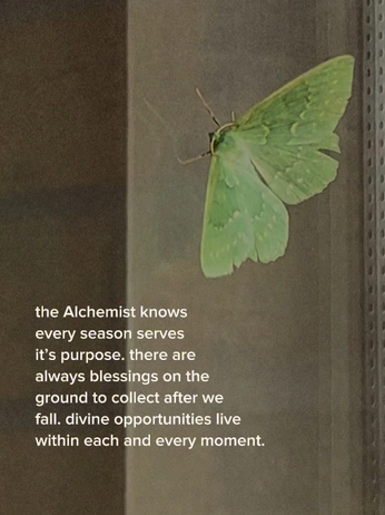 A cover of "Psych" cluster. The owner is naturesnursee. The cluster consists of 198 elements.