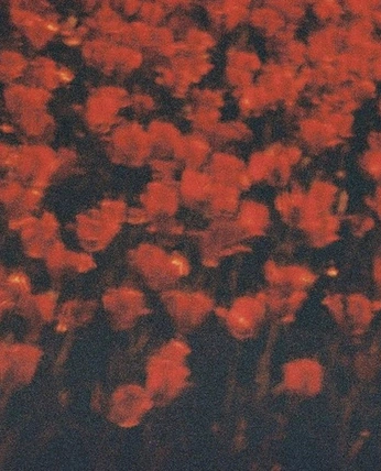 A cover of "r26" cluster. The owner is joshua.daniel. The cluster consists of 30 elements.