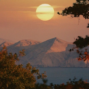 A cover of "𝚠𝚊𝚗𝚍𝚎𝚛" cluster. The owner is 19zeries. The cluster consists of 287 elements.