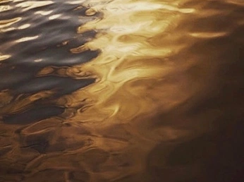 A cover of "LEEF" cluster. The owner is illie. The cluster consists of 101 elements.