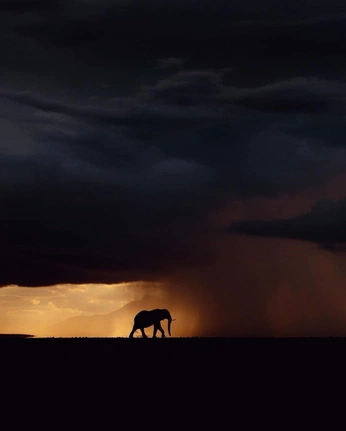 A cover of "beautiful clicks" cluster. The owner is mashykesh. The cluster consists of 8 elements.