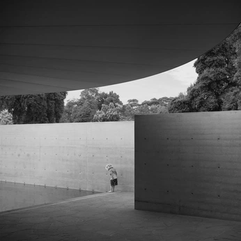 A cover of "ARCHITECTURE" cluster. The owner is giorgio. The cluster consists of 323 elements.