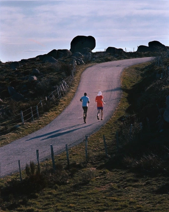 A cover of "last man standing - Z2" cluster. The owner is tthiagoribeiro. The cluster consists of 48 elements.