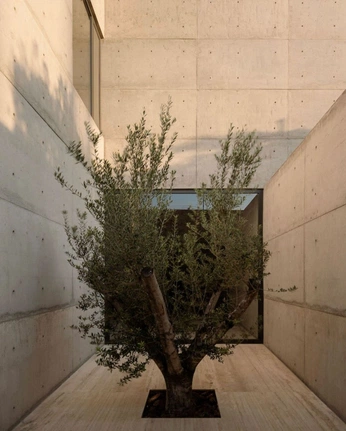 A cover of "elaia" cluster. The owner is farah.nasr27. The cluster consists of 19 elements.