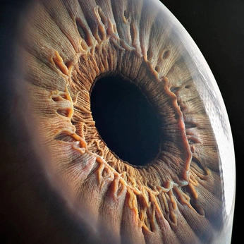 A cover of "Eyes👁️" cluster. The owner is romm3. The cluster consists of 12 elements.