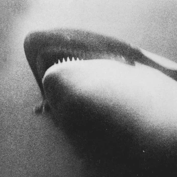 A cover of "adventurous" cluster. The owner is chrsss. The cluster consists of 3 elements.