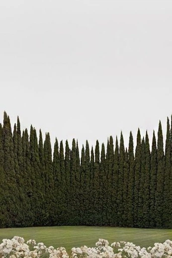 A cover of "Landscape" cluster. The owner is vikabarkal. The cluster consists of 4 elements.