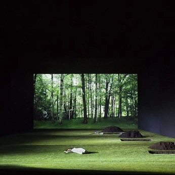 A cover of "capturing" cluster. The owner is weirdprotea. The cluster consists of 25 elements.