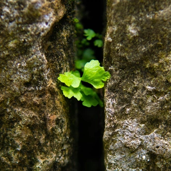 A cover of "Pandoraaa" cluster. The owner is felixngo. The cluster description is "A box that save time". The cluster consists of 9 elements.