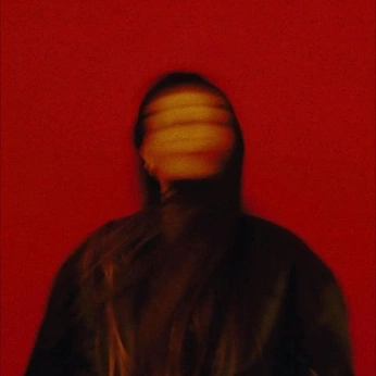 A cover of "528" cluster. The owner is mashalina. The cluster consists of 906 elements.