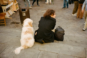 A cover of "STREET DOGS*" cluster. The owner is luko1. The cluster consists of 19 elements.