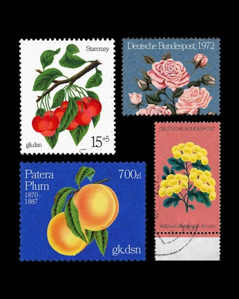 A cover of "little things" cluster. The owner is salvadorxe. The cluster consists of 2 elements.