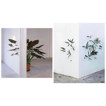 A cover of "plnts" cluster. The owner is janulis. The cluster description is "alive objects". The cluster consists of 14 elements.