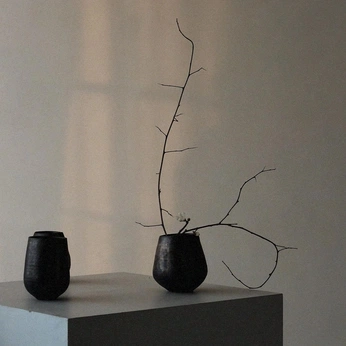 A cover of "Plants Inside The House" cluster. The owner is trenton. The cluster consists of 28 elements.