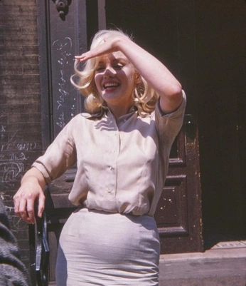 A cover of "privy" cluster. The owner is niccole. The cluster consists of 1 element.