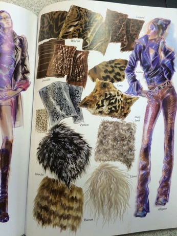 A cover of "am i...a designer??" cluster. The owner is eorrillo22. The cluster consists of 10 elements.