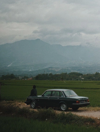 A cover of "Final project" cluster. The owner is pmkcreative. The cluster consists of 14 elements.