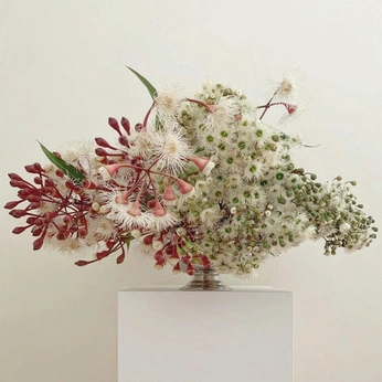 A cover of "Floral" cluster. The owner is avlarch. The cluster consists of 1 element.