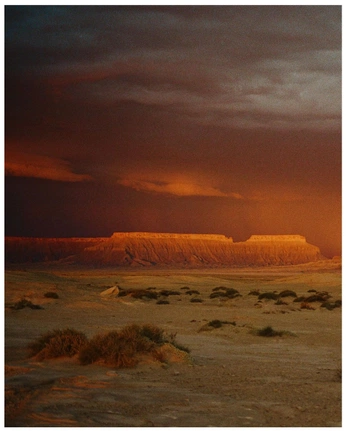 A cover of "Z?" cluster. The owner is peskybee. The cluster consists of 31 elements.