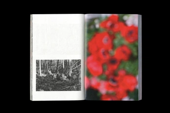 A cover of "Image Layout" cluster. The owner is sebastian.konrad. The cluster consists of 17 elements.