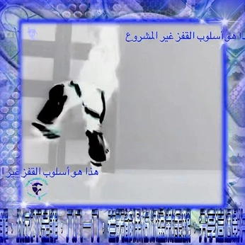 A cover of "Internet" cluster. The owner is strika. The cluster consists of 3 elements.