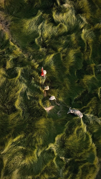 A cover of "videos" cluster. The owner is selfarchitect. The cluster consists of 30 elements.