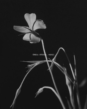 A cover of "Test" cluster. The owner is shunaiann. The cluster consists of 1 element.