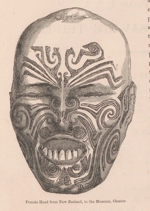 Triston Chapel avatar