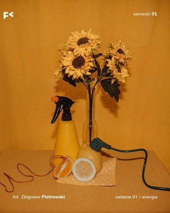 A cover of "Lupine быт" cluster. The owner is kolyaprya. The cluster consists of 22 elements.