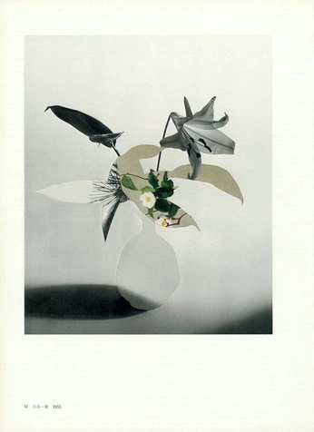 A cover of "abstract beauty" cluster. The owner is decor8. The cluster consists of 7 elements.