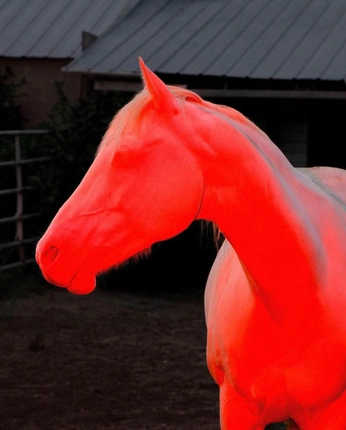 A cover of "P" cluster. The owner is ppedro. The cluster consists of 7 elements.