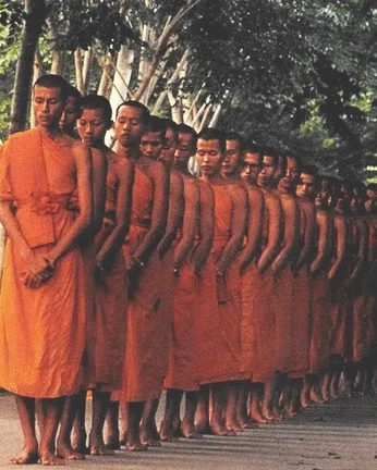 A cover of "Photos" cluster. The owner is grusonii. The cluster consists of 3 elements.