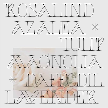 A cover of "fonts i like" cluster. The owner is cldarling. The cluster consists of 13 elements.