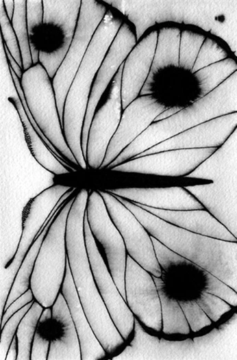 A cover of "b&w" cluster. The owner is lula13. The cluster consists of 5 elements.