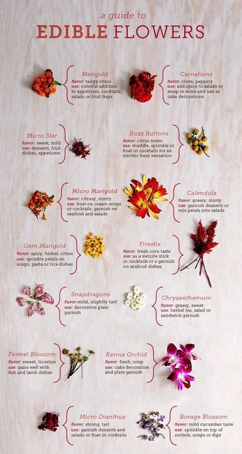 A cover of "herbs" cluster. The owner is mai.gtfomlyub. The cluster consists of 83 elements.