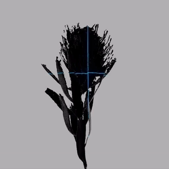 A cover of "motions" cluster. The owner is reclusiiv. The cluster consists of 21 elements.