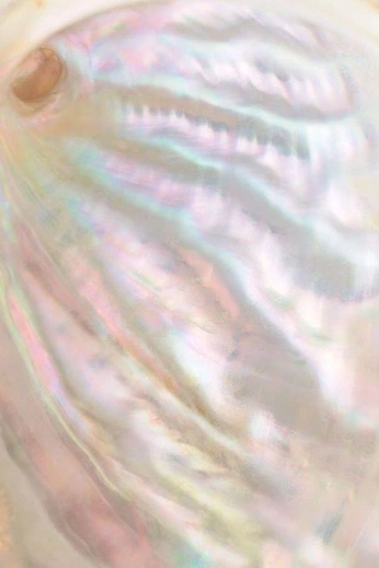 A cover of "Nácar" cluster. The owner is tilmansole. The cluster consists of 54 elements.