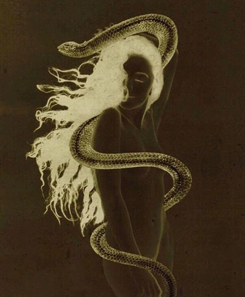 A cover of "Pil" cluster. The owner is meeline. The cluster consists of 18 elements.