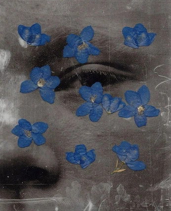 A cover of "Funky stuff" cluster. The owner is emmamax. The cluster consists of 8 elements.